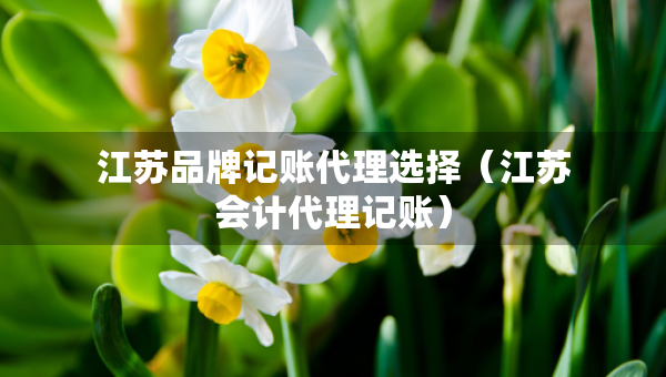 江蘇品牌記賬代理選擇（江蘇會計代理記賬）