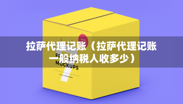 拉薩代理記賬（拉薩代理記賬一般納稅人收多少）