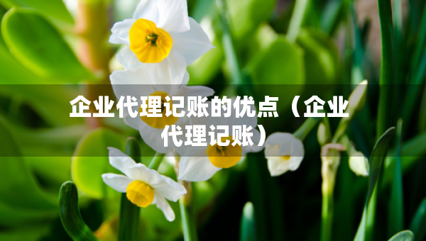 企業(yè)代理記賬的優(yōu)點（企業(yè) 代理記賬）