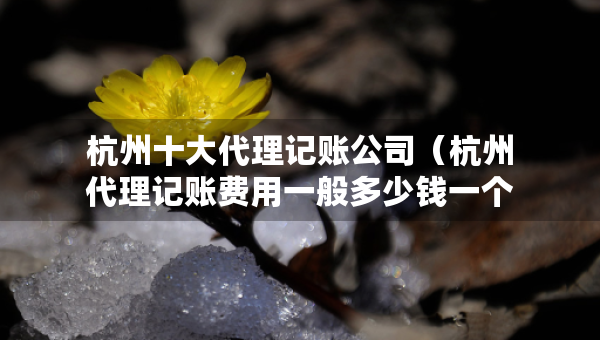 杭州十大代理記賬公司（杭州代理記賬費用一般多少錢一個月）
