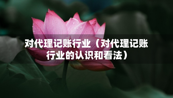 對代理記賬行業(yè)（對代理記賬行業(yè)的認識和看法）