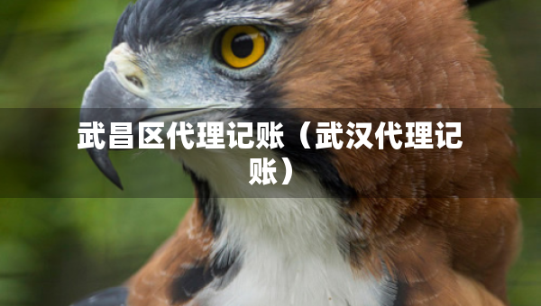 武昌區(qū)代理記賬（武漢代理記賬）