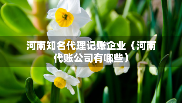 河南知名代理記賬企業(yè)（河南代賬公司有哪些）