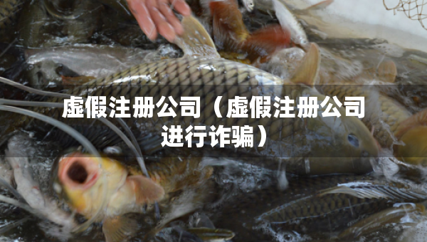 虛假注冊公司（虛假注冊公司進行詐騙）