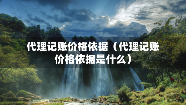 代理記賬價格依據（代理記賬價格依據是什么）