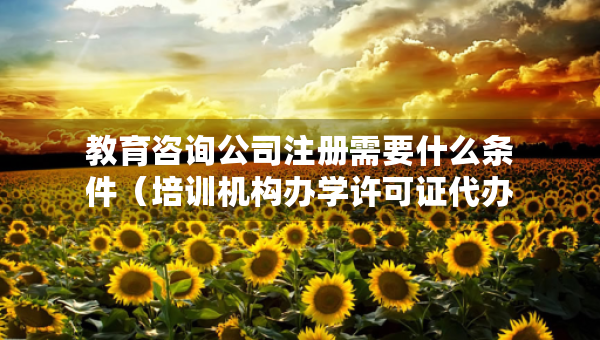 教育咨詢公司注冊(cè)需要什么條件（培訓(xùn)機(jī)構(gòu)辦學(xué)許可證代辦公司）