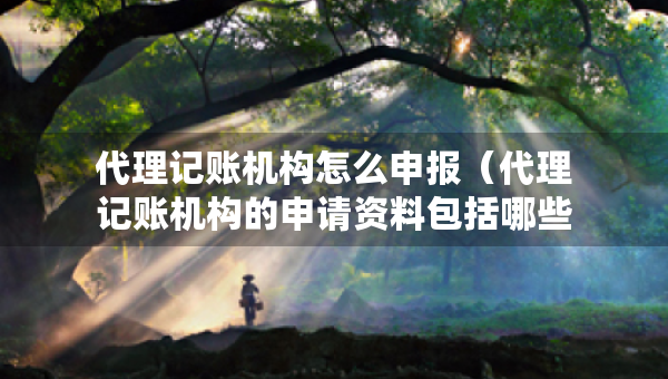 代理記賬機(jī)構(gòu)怎么申報（代理記賬機(jī)構(gòu)的申請資料包括哪些）