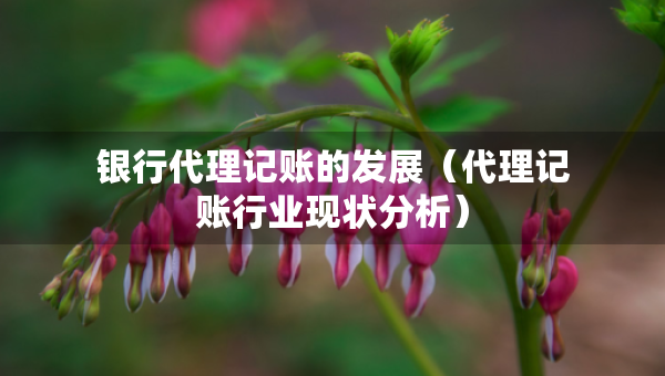 銀行代理記賬的發(fā)展（代理記賬行業(yè)現(xiàn)狀分析）