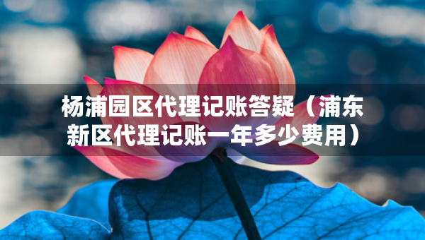 楊浦園區(qū)代理記賬答疑（浦東新區(qū)代理記賬一年多少費(fèi)用）
