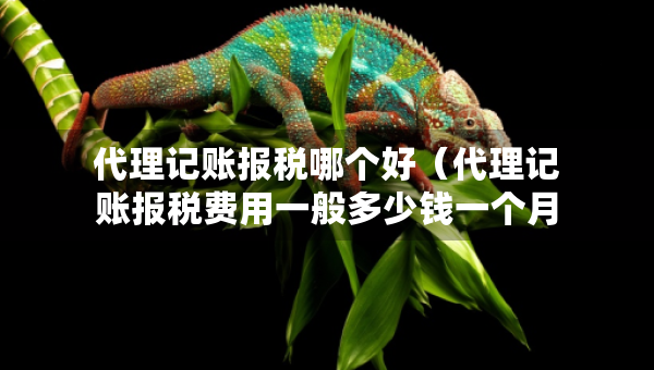 代理記賬報稅哪個好（代理記賬報稅費用一般多少錢一個月）