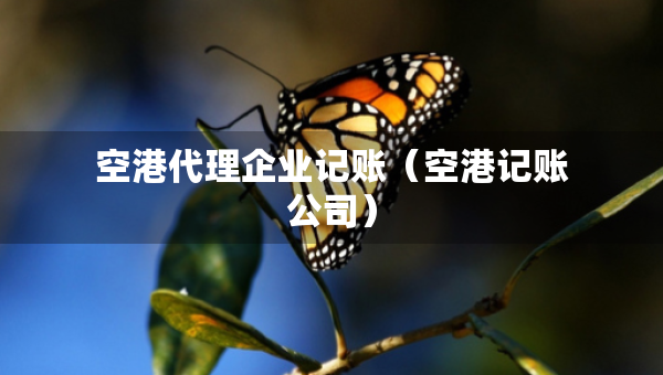 空港代理企業(yè)記賬（空港記賬公司）
