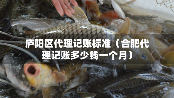 廬陽區(qū)代理記賬標(biāo)準(zhǔn)（合肥代理記賬多少錢一個月）