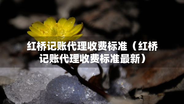 紅橋記賬代理收費標(biāo)準（紅橋記賬代理收費標(biāo)準最新）