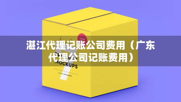 湛江代理記賬公司費用（廣東代理公司記賬費用）