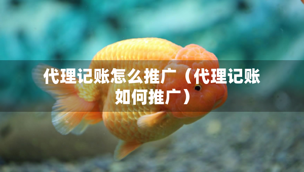 代理記賬怎么推廣（代理記賬如何推廣）