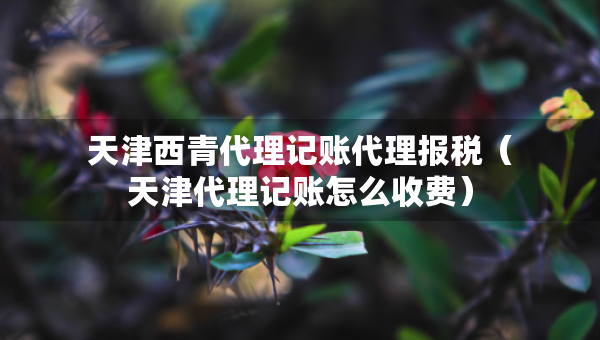 天津西青代理記賬代理報(bào)稅（天津代理記賬怎么收費(fèi)）