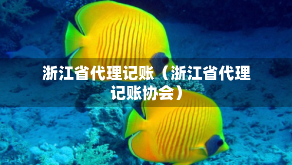 浙江省代理記賬（浙江省代理記賬協(xié)會(huì)）