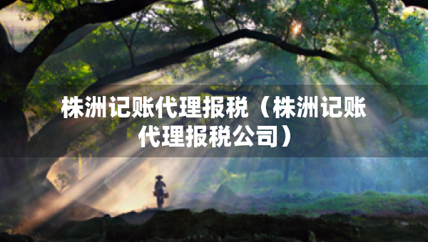 株洲記賬代理報(bào)稅（株洲記賬代理報(bào)稅公司）
