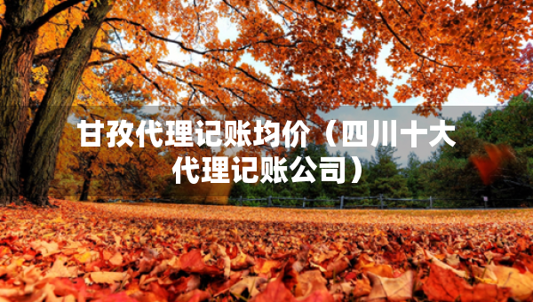 甘孜代理記賬均價(jià)（四川十大代理記賬公司）