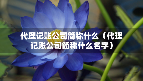 代理記賬公司簡(jiǎn)稱什么（代理記賬公司簡(jiǎn)稱什么名字）