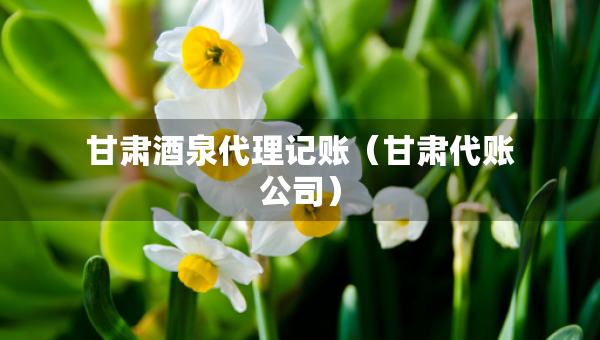 甘肅酒泉代理記賬（甘肅代賬公司）