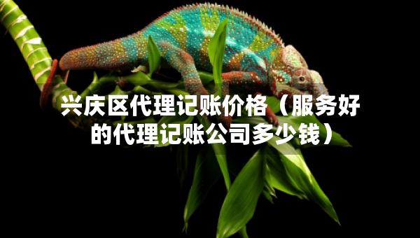 興慶區(qū)代理記賬價(jià)格（服務(wù)好的代理記賬公司多少錢）
