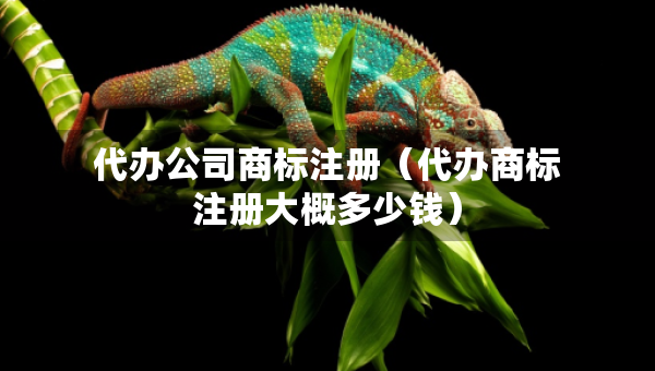 代辦公司商標注冊（代辦商標注冊大概多少錢）