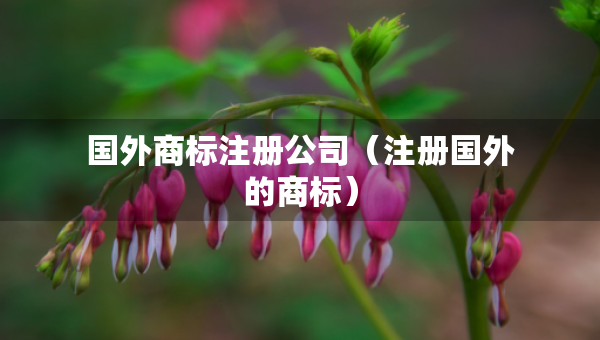 國(guó)外商標(biāo)注冊(cè)公司（注冊(cè)國(guó)外的商標(biāo)）