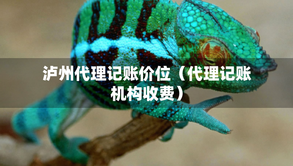 瀘州代理記賬價(jià)位（代理記賬機(jī)構(gòu)收費(fèi)）
