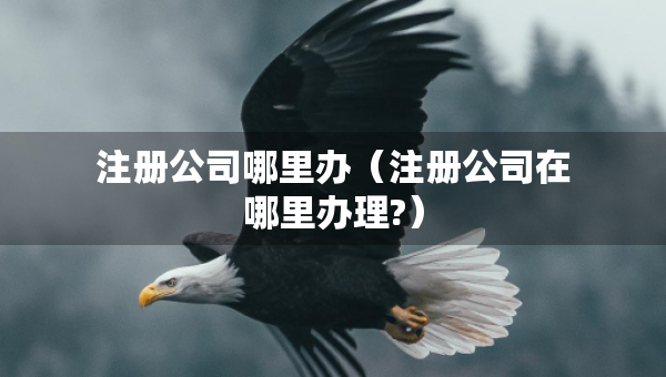 注冊公司哪里辦（注冊公司在哪里辦理?）