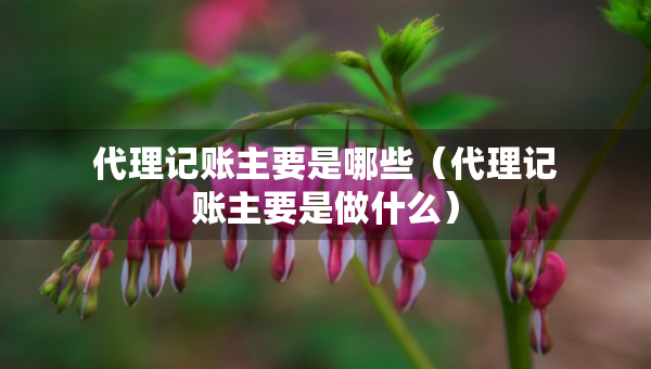 代理記賬主要是哪些（代理記賬主要是做什么）