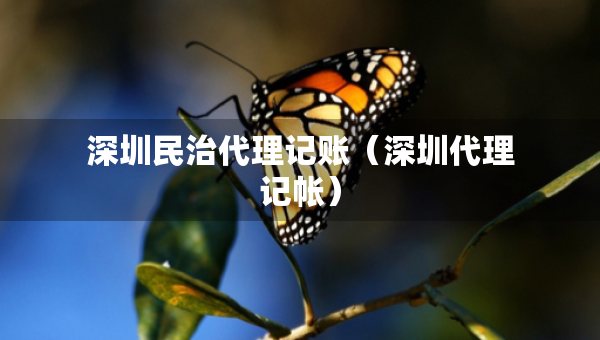 深圳民治代理記賬（深圳代理記帳）