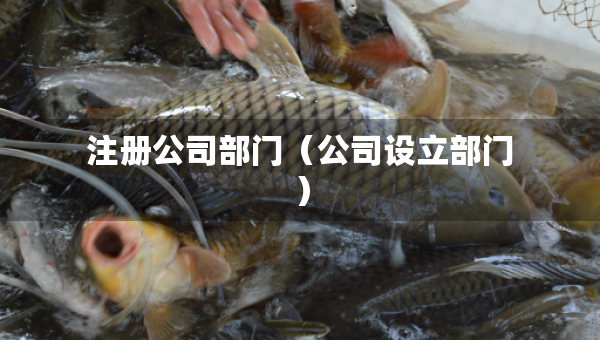 注冊(cè)公司部門（公司設(shè)立部門）