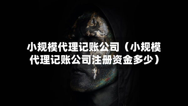 小規(guī)模代理記賬公司（小規(guī)模代理記賬公司注冊(cè)資金多少）
