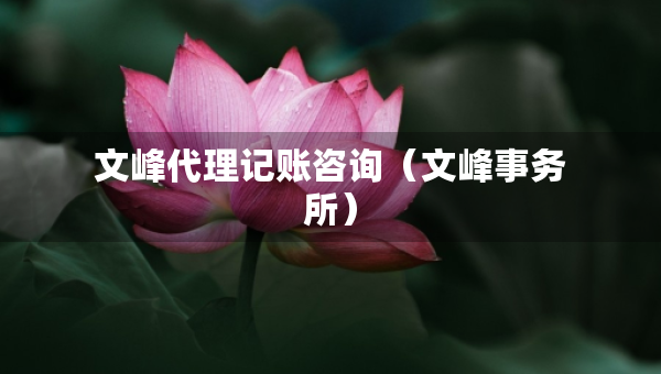 文峰代理記賬咨詢（文峰事務(wù)所）