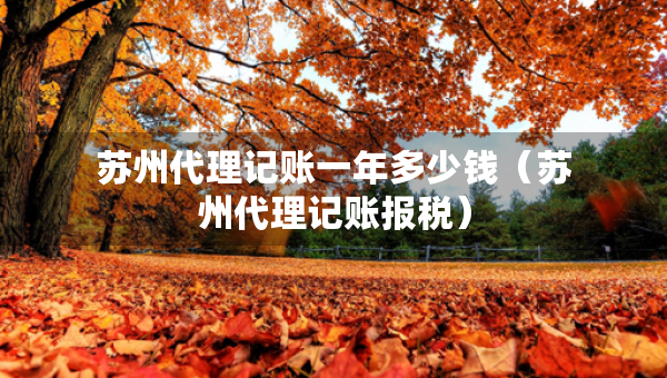 蘇州代理記賬一年多少錢（蘇州代理記賬報(bào)稅）
