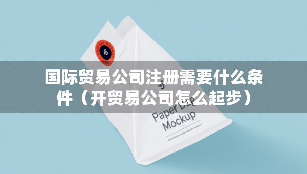 國際貿(mào)易公司注冊需要什么條件（開貿(mào)易公司怎么起步）