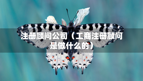 注冊(cè)顧問(wèn)公司（工商注冊(cè)顧問(wèn)是做什么的）