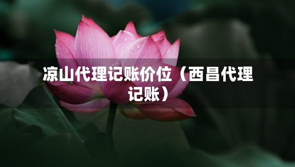 涼山代理記賬價位（西昌代理記賬）