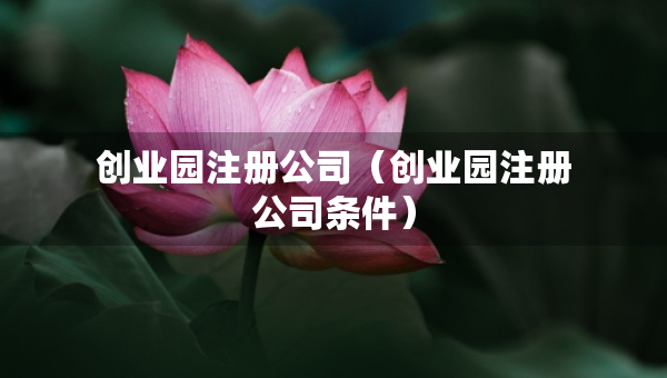 創(chuàng)業(yè)園注冊(cè)公司（創(chuàng)業(yè)園注冊(cè)公司條件）