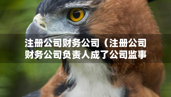 注冊(cè)公司財(cái)務(wù)公司（注冊(cè)公司財(cái)務(wù)公司負(fù)責(zé)人成了公司監(jiān)事）