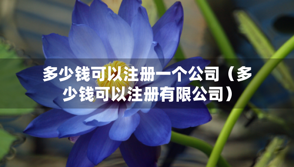 多少錢(qián)可以注冊(cè)一個(gè)公司（多少錢(qián)可以注冊(cè)有限公司）