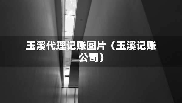 玉溪代理記賬圖片（玉溪記賬公司）