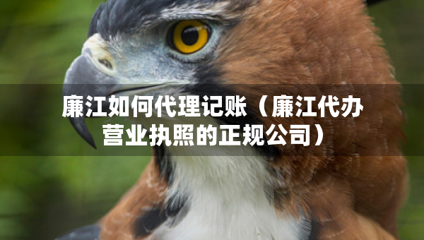 廉江如何代理記賬（廉江代辦營(yíng)業(yè)執(zhí)照的正規(guī)公司）