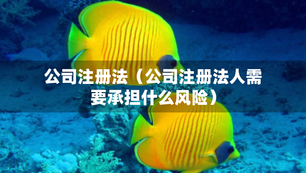 公司注冊法（公司注冊法人需要承擔(dān)什么風(fēng)險）