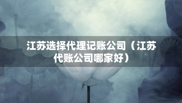 江蘇選擇代理記賬公司（江蘇代賬公司哪家好）