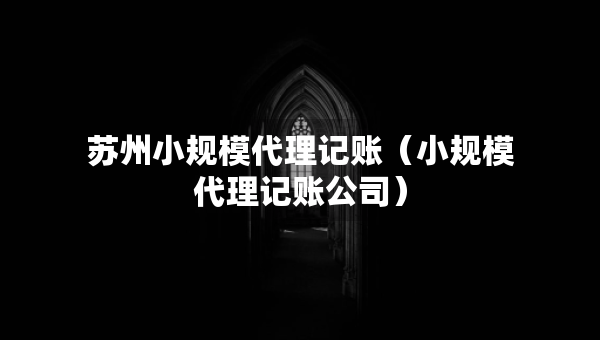 蘇州小規(guī)模代理記賬（小規(guī)模代理記賬公司）