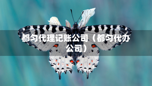 都勻代理記賬公司（都勻代辦公司）