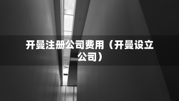 開曼注冊公司費用（開曼設(shè)立公司）