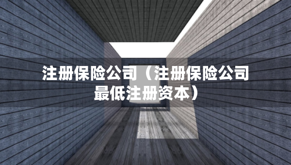 注冊保險公司（注冊保險公司最低注冊資本）